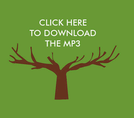 mp3